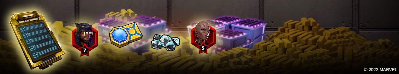 Commanders Cache Banner
